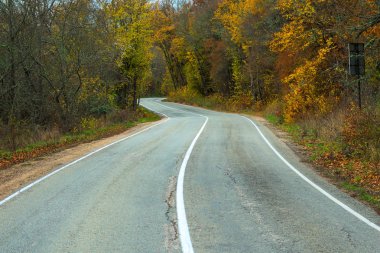 Dağlarda sonbahar ormandaki boş yol