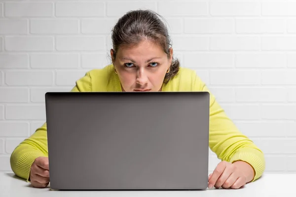 Woman Hacker Laptop Steals Data — Stock Photo, Image