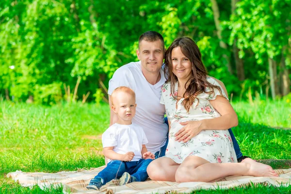 Pregnant Mom Dad Little Son Picnic Park — Stock Photo, Image