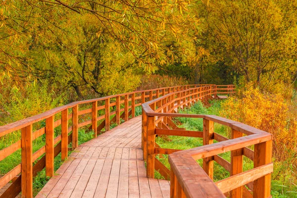 Ponte Madeira Uma Trilha Parque Vazio Outono — Fotografia de Stock