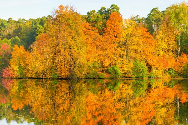 Piękny Jasny Jesień Las Nad Malowniczym Jeziorem — Zdjęcie stockowe