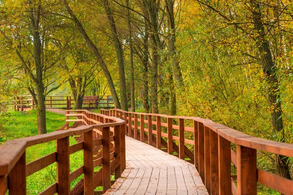 Belo Parque Outono Com Uma Trilha Caminhadas Madeira — Fotografia de Stock