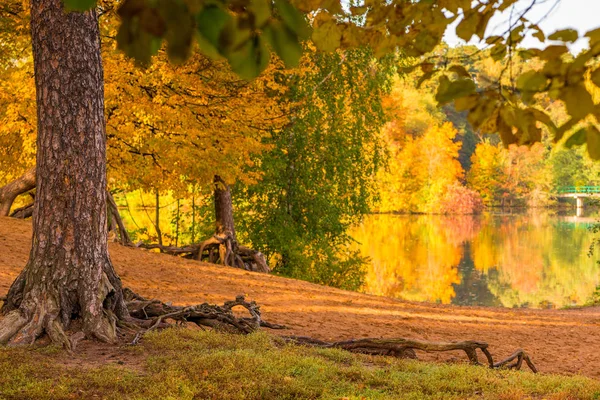 Orilla Lago Parque Otoño Follaje Colores Los Árboles Día Soleado —  Fotos de Stock