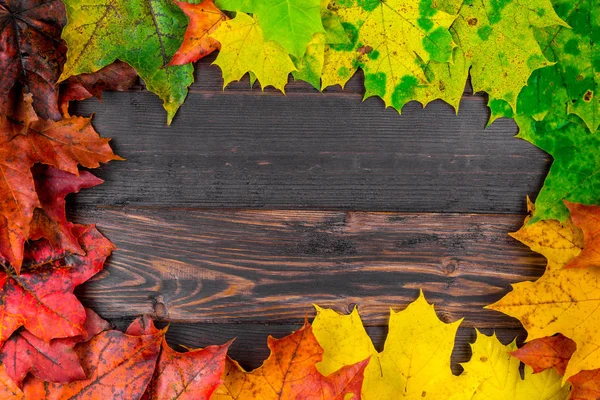 Рамка Осенью Красивые Листья Пространством Центре Фон Надписи — стоковое фото