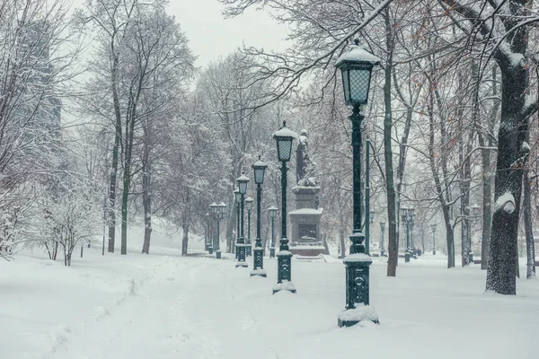 Засніжений Міський Парк Взимку Алея Ліхтарів — стокове фото