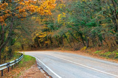 Dağ yolu boyunca sarı yapraklar ile sonbahar ağaçlar