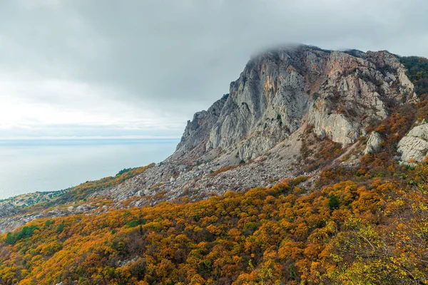 Sonbahar Manzara Güzel Dağlar Sarı Bitkiler Sakin Bir Deniz — Stok fotoğraf