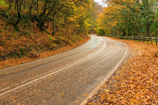 Ukazuje Automobilové Dálnice Horách Nebezpečné Podzimní Krajina — Stock fotografie