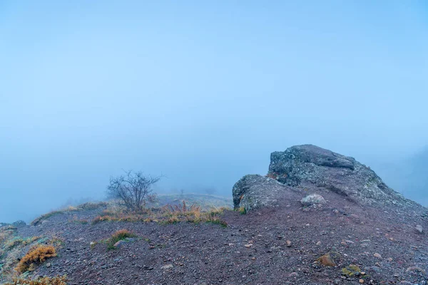 Fog Mountains Fall Stone Foreground Small Bare Bush — Stock Photo, Image