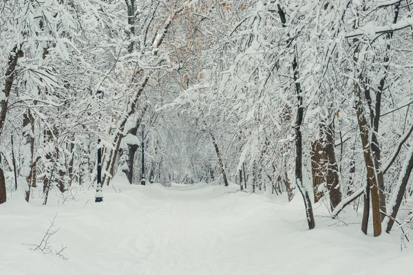 公園は 大雪の冬の日の美しい風景後雪のドリフトに囲まれています — ストック写真