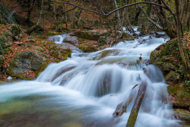 güzel sonbahar manzara, hızlı nehir orman doğa Rusya'nın dağlarında