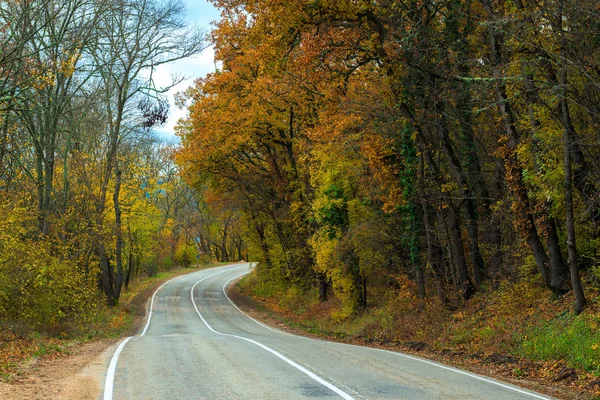 秋の午後に曲がりくねった山の道車 — ストック写真