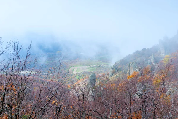 View Mountain Autumn Landscape Fog Beautiful Mountains View Bare Trees — Stock Photo, Image