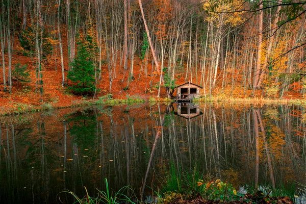 Piękny Krajobraz Stary Dom Rybacki Pobliżu Leśnego Stawu Jesienią Południu — Zdjęcie stockowe
