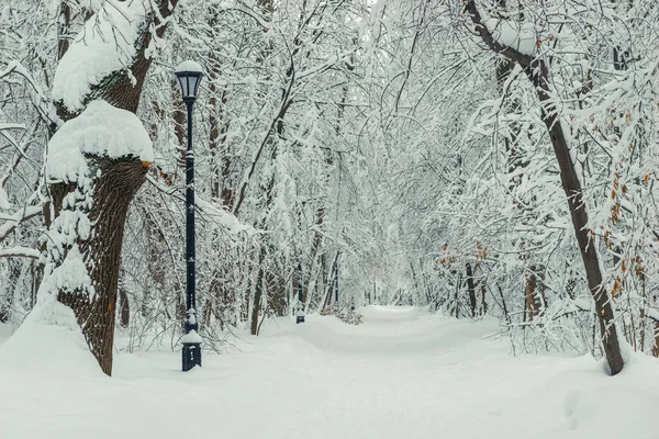 Міський парк оточений сніговими дрейфами після сильного снігопаду — стокове фото