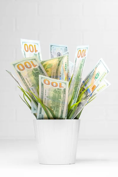 Finanzwachstum. Hundert-Dollar-Scheine wachsen im Blumentopf — Stockfoto