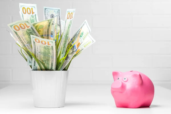 Concepto foto de una olla de dinero y una alcancía rosa financiera — Foto de Stock