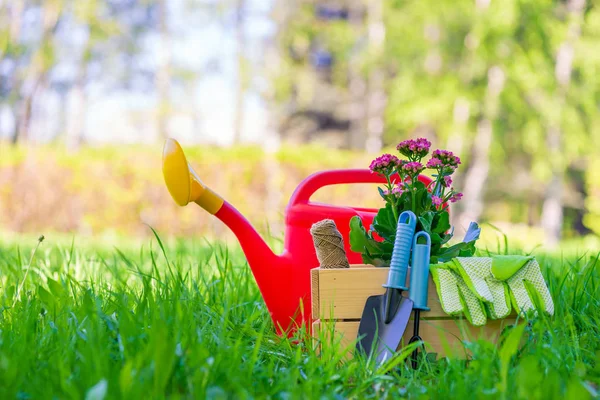 Objetos conceito foto primavera trabalho no jardim de perto no — Fotografia de Stock