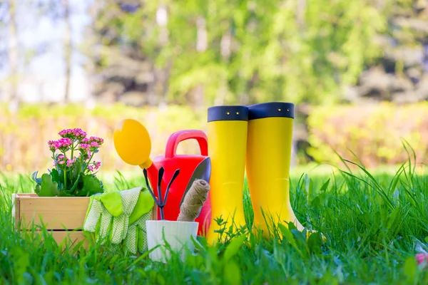 Stivali di gomma accanto agli strumenti per lavorare in giardino sono su — Foto Stock
