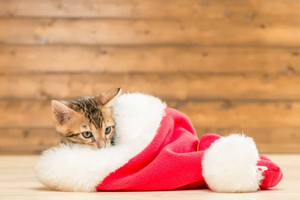 Bruin kleine kitten in een rode kerstmuts rusten — Stockfoto