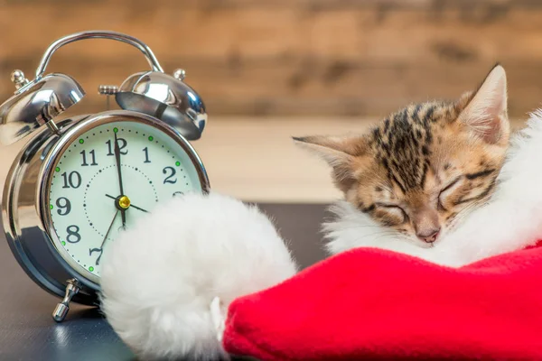 Het kitten slaapt in de hoed van de Kerstman naast de wekker — Stockfoto