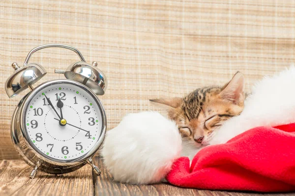 Piccolo gattino sta dormendo sonni tranquilli in cappello di Babbo Natale accanto al retro — Foto Stock