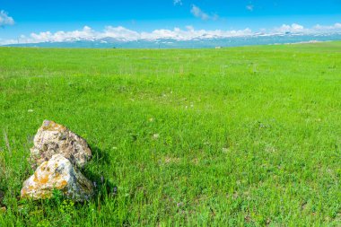 Yeşil alan, dağ manzarası, sol köşede taşlar - beautifu