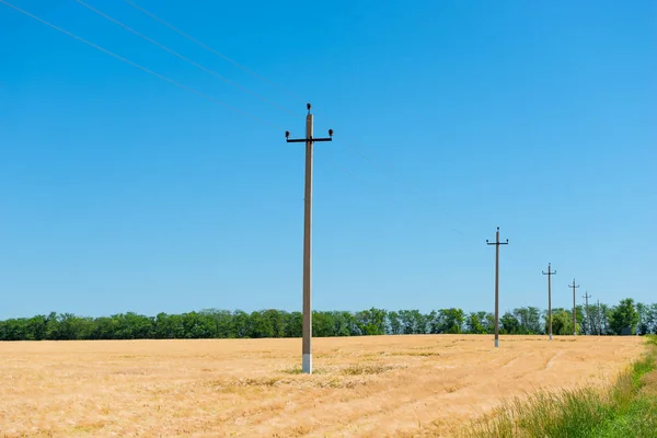 Linha de energia em um campo de cereais amarelo paisagem de verão — Fotografia de Stock