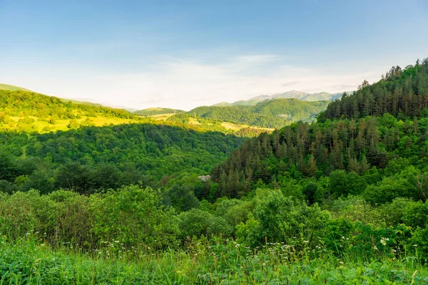 外高加索风景如画的森林和山脉景观，l — 图库照片