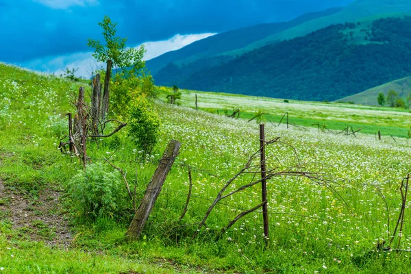 Recinzione autentica rustica in un campo verde nella montagna del Caucaso — Foto Stock