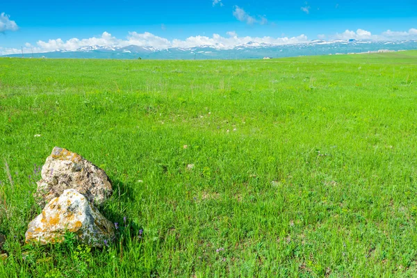 Zöld mező, hegyre néző, kövek a bal sarokban-beautifu — Stock Fotó