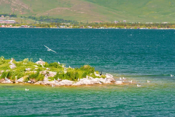 Güneşli bir günde martılar için göl rıhtımında küçük bir ada — Stok fotoğraf