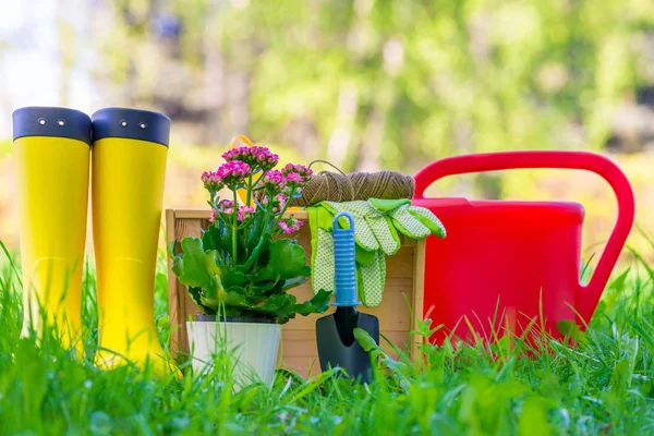 Bloem voor het verplanten in de open grond, rubberen laarzen en — Stockfoto