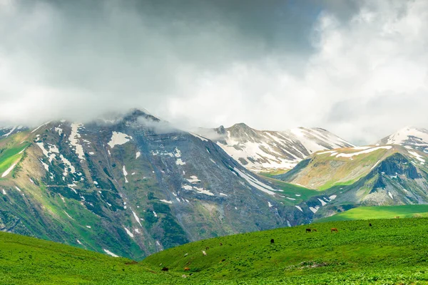 Cordillera del Cáucaso, viaje a Georgia en junio — Foto de Stock