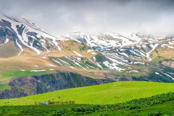 Wysokie góry, zielone łąki piękny krajobraz Gruzji — Zdjęcie stockowe