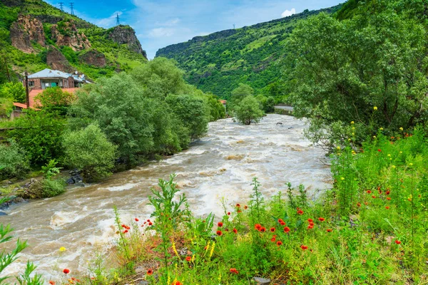 Кавказ, вид на широкую и бурную горную реку — стоковое фото