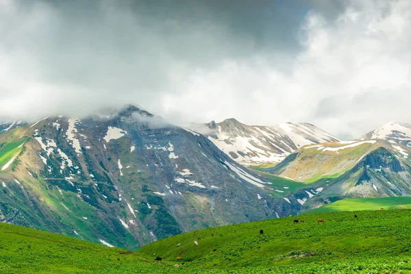 Caucasian ridge, trip to Georgia in June Stock Image