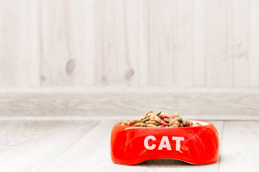 Red bowl for a cat with dry food on the floor in the house close