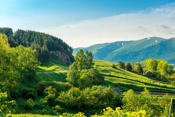 Haziran 'da Ermenistan' ın manzarası: güzel yemyeşil çayırlar ve ormanlar — Stok fotoğraf