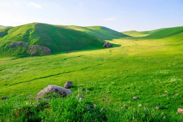 Hermoso Paisaje Verano Valle Sin Fin Armenia Cubierto Exuberante Hierba — Foto de Stock