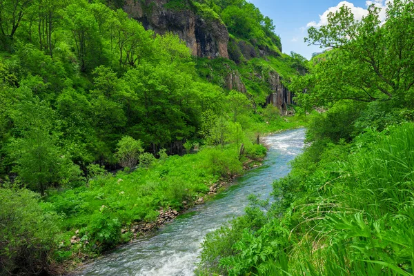 Нынешняя Река Горной Водой Горах Армении Среди Зеленых Деревьев — стоковое фото