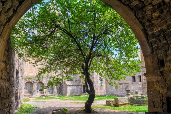 Tree Growing Territory Tatev Monastery Tourist Attraction Armenia — Stock Photo, Image