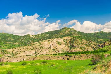 Dağ, güneşli bir yaz gününde, mavi gökyüzüne karşı çalılar ve çimlerle kaplıdır.