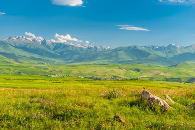 Ermenistan 'da buzullu yeşil dağlar, Haziran' da güneşli bir günde manzara