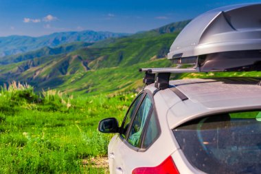 Beyaz arkaplanda turuncu renkli açık şemsiye kamışı
