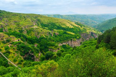 Beyaz arkaplanda turuncu renkli açık şemsiye kamışı