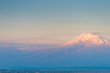 Beyaz arkaplanda turuncu renkli açık şemsiye kamışı
