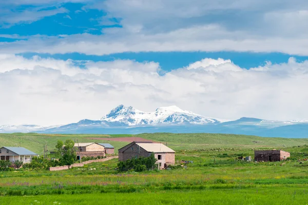 Beyaz Arkaplanda Turuncu Renkli Açık Şemsiye Kamışı — Stok fotoğraf