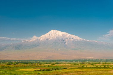 Güneşli bir günde karlı zirvesi ve yeşil tarlası olan güzel Büyük Ararat.