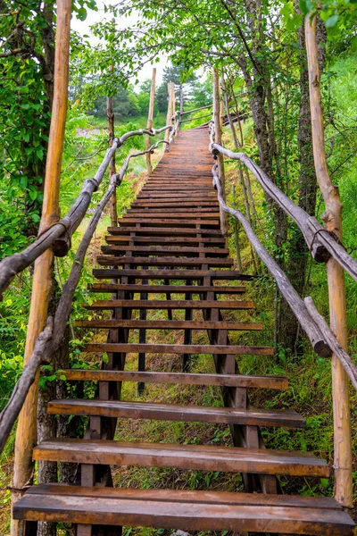 Escalier Bois Dans Parc Été Gros Plan Pas Personnes — Photo